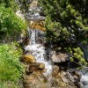 DSC00448.jpg