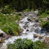 DSC00449.jpg
